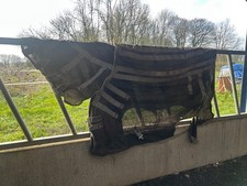 6’3 premier equine magnetic