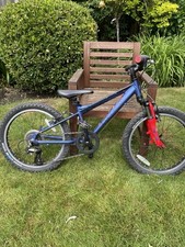 Carrera Junior Mountain Bike