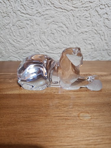 Grace glamour fine crystal - fine,