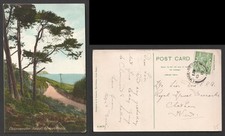 Lyme Regis Charmouth Road