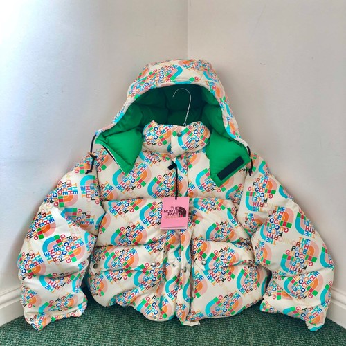 Gucci the north face down - north,