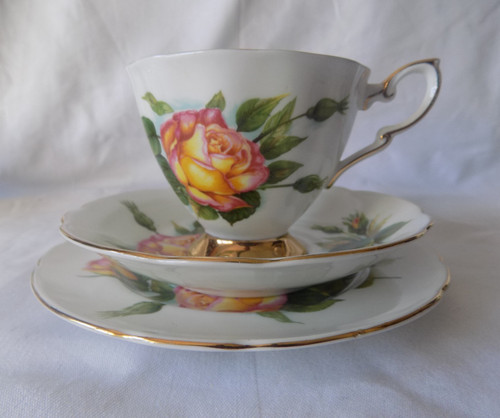Paragon harry wheatcroft - harry,