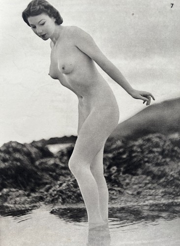Nude study plate published - plate,