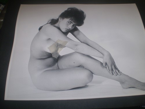 1960 original sophia dawn - 1960's,