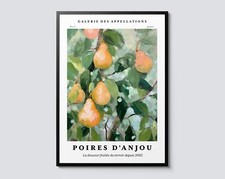 Anjou Pears Still Life