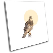 Falcon Bird of Prey Modern