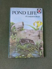 Ladybird Pond Life