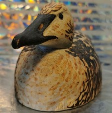 Female Common Eider Sea Duck By Oisin Kelly Handpainted Kilkenny Ceramic Pottery