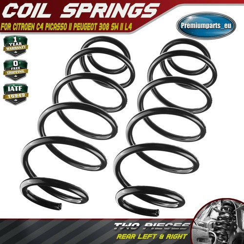 Coil springs rear - coil,
