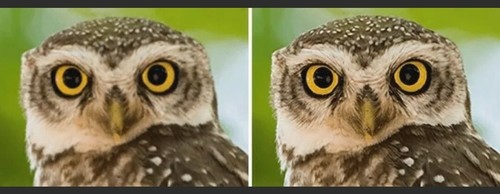 Video enhancement upscaling - video, enhancement/upscaling