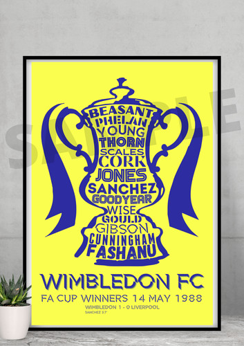 Wimbledon cup 1988 - fc, fa