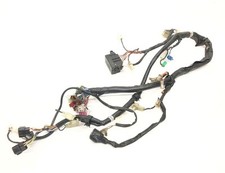 Electric harness Yamaha FZS