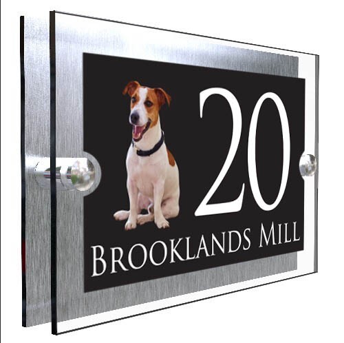 Acrylic jack russell - acrylic,