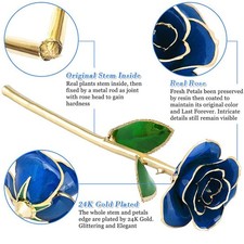 .Long Stem Dipped 24k Gold