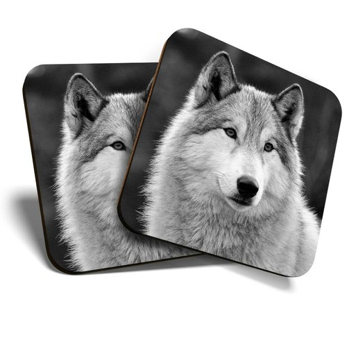 Coasters white - 2,