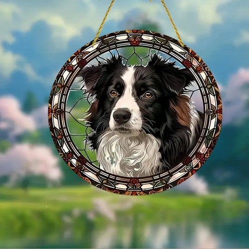 Border collie suncatcher - border,
