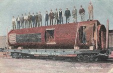 Grizzly Bear In Giant Log Hewn