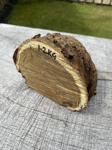 Laburnum log 2kg woodturning - log,
