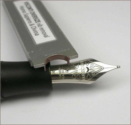 Visconti oversize homo sapiens - visconti,
