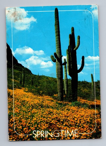 Desert bloom giant saguaro - bloom,