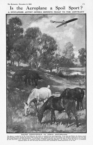Aviation equine indifference - equine,