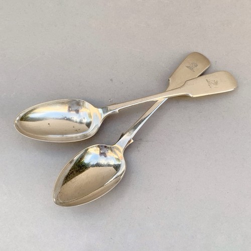 Two large serving spoons - large,