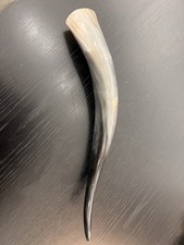 Animal Horn