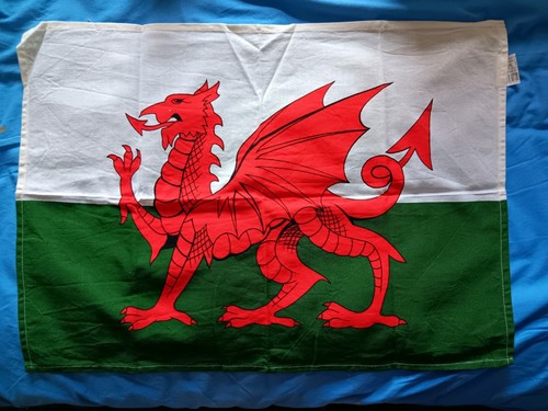 Tea towel welsh flag - towel,