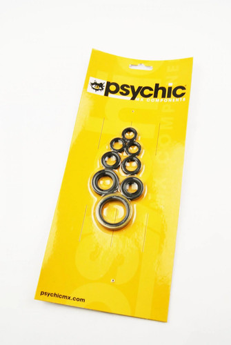 Oil seal set yzf - oil, 01-13