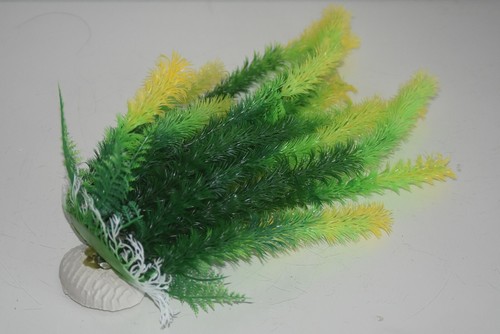Aquarium plant tall approx - tall,