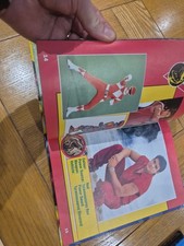 Sabans Mighty Morphin Power