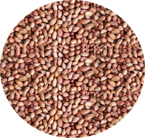 Wild bird peanuts 10kg 5kg - 5kg, 3kg