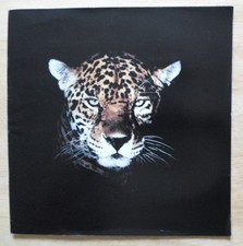 JAGUAR DAIMLER 1991 UK Mkt