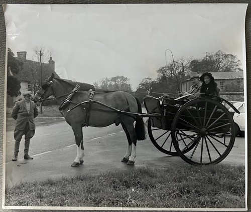 Cambridge horse trap mr j - cambridge., trap.