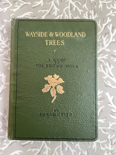 Wayside and woodland - woodland,