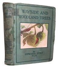 1942, WAYSIDE AND WOODLAND