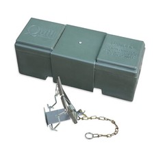 Quill vermin trap - vermin,