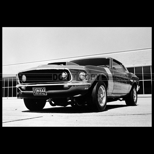 Photo 037433 ford - ford, mustang