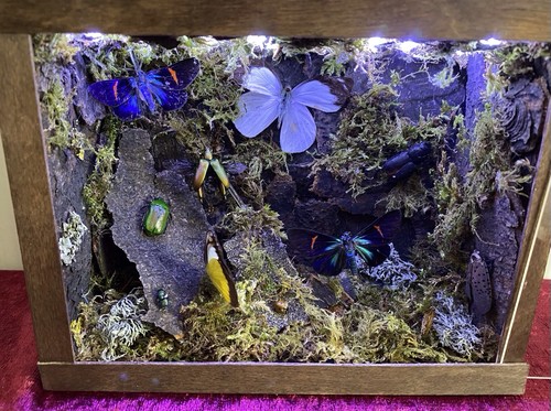 Unique insect utopia lit - -,