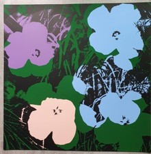 Flowers Poppy Series Sunday