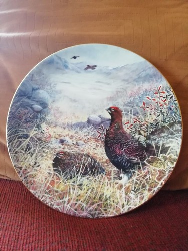 Wedgewood frosty highland - -,