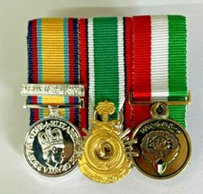 MINIATURE MOUNTED GULF MEDAL