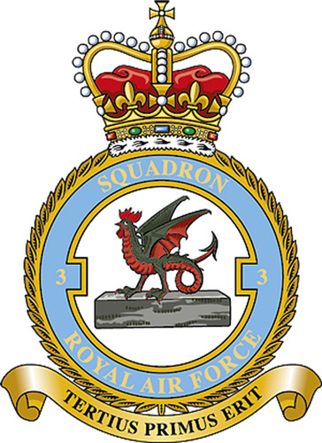 Raf squadron badge metal - badge, on