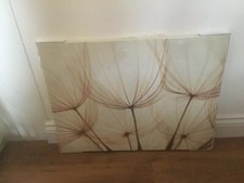 Next Canvas  - Dandelions -