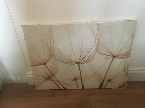 Next canvas dandelions - -,