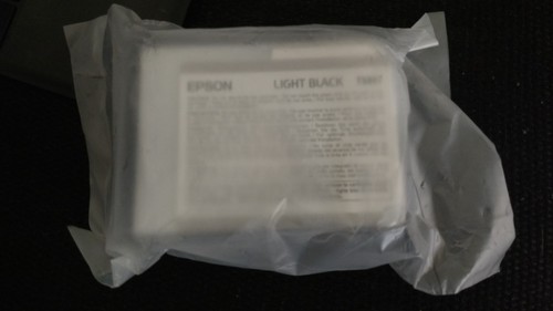 2019 genuine epson t5807 light - 2019,