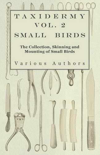 Various taxidermy vol - vol.2, small