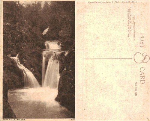 Vintage postcard pecca falls - vintage,