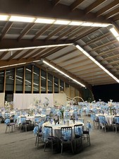 Artificial Flowers and Vases Hire