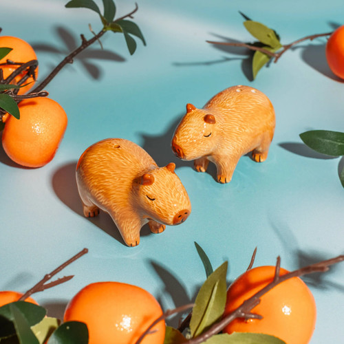 Sass belle capybara salt - salt, &